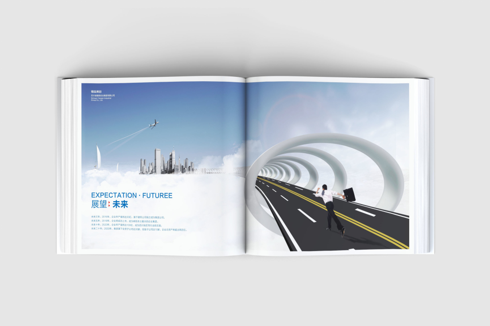 朝阳区画册设计